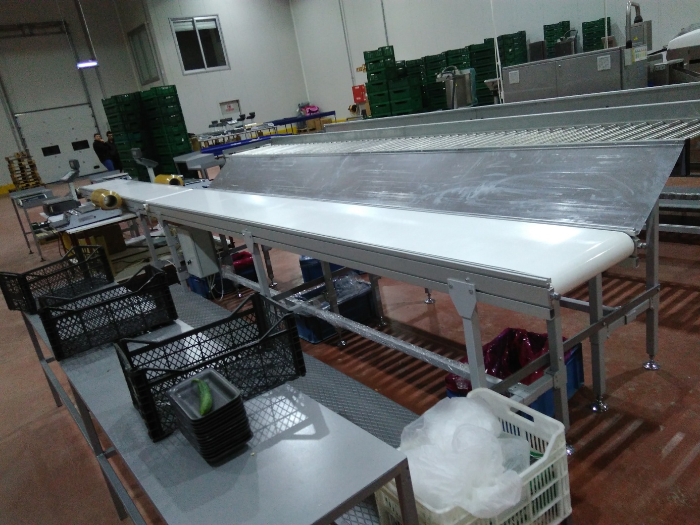 MANUEL VEGETABLE PLATE PACKAGING LINE