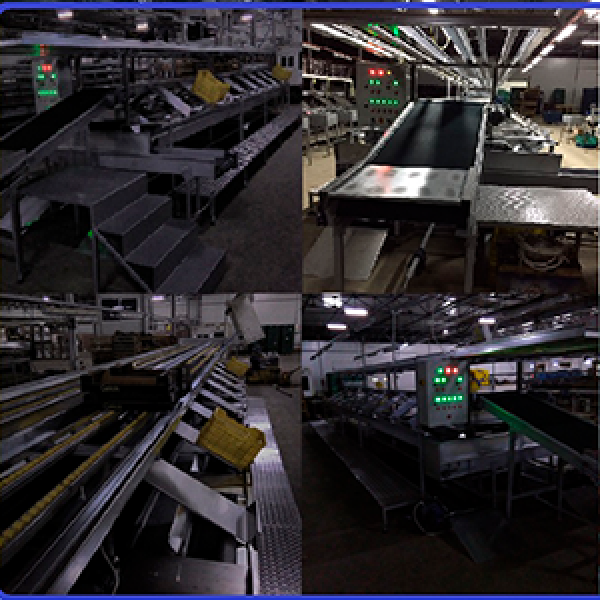 Food Processing and Packaging Lines