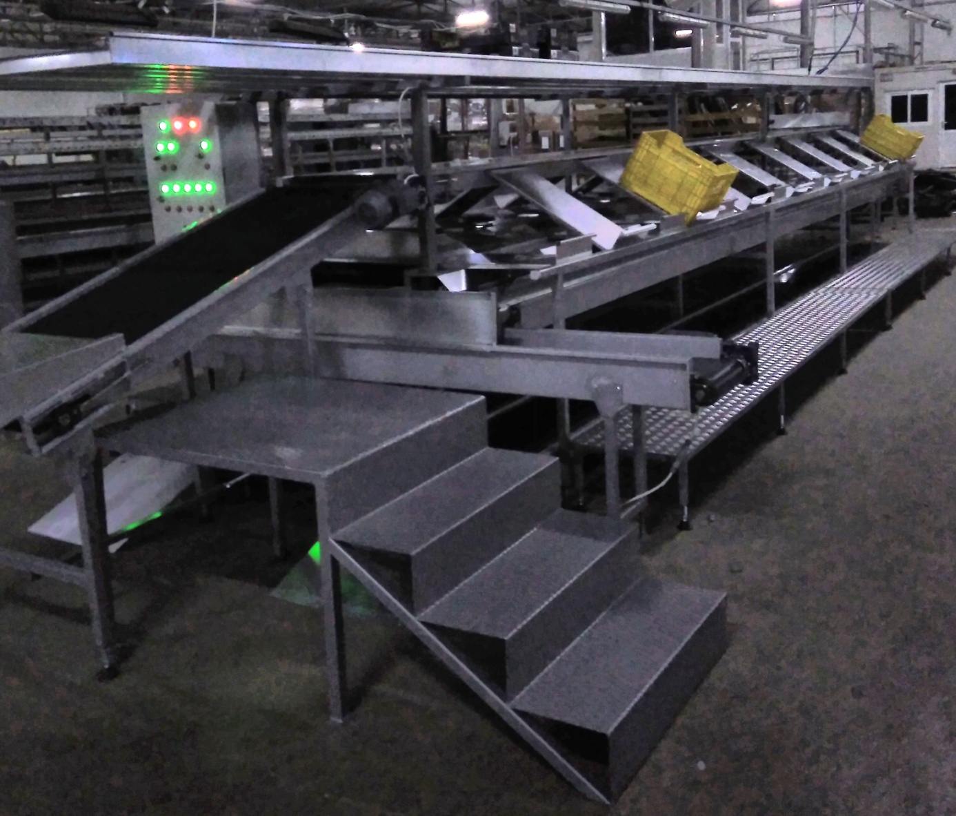 TOMATO PACKAGING LINE